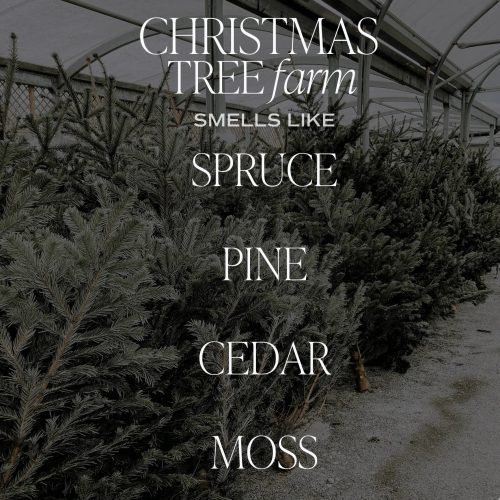 2023 SCENT NOTE CHRISTMASTREEFARM 800343