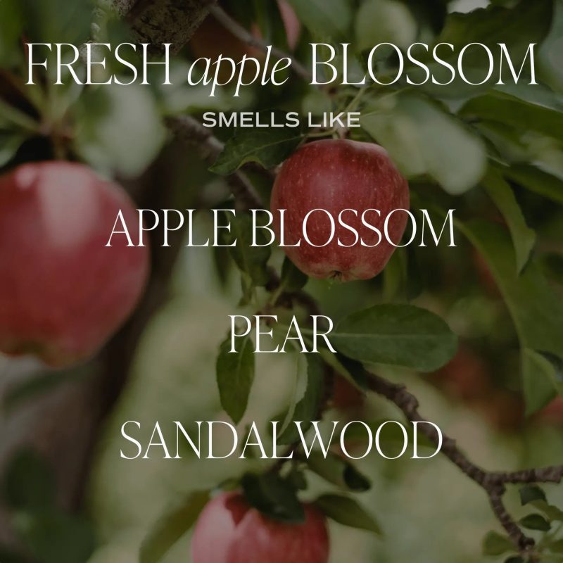 2023 SCENT NOTE FRESHAPPLEBLOSSOM 958476