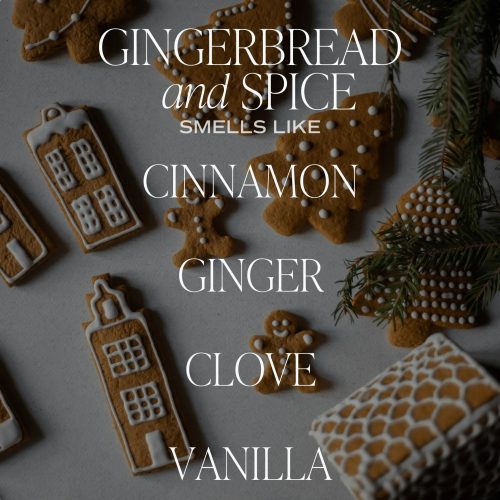 2023 SCENT NOTE GINGERBREADSPICE 284453