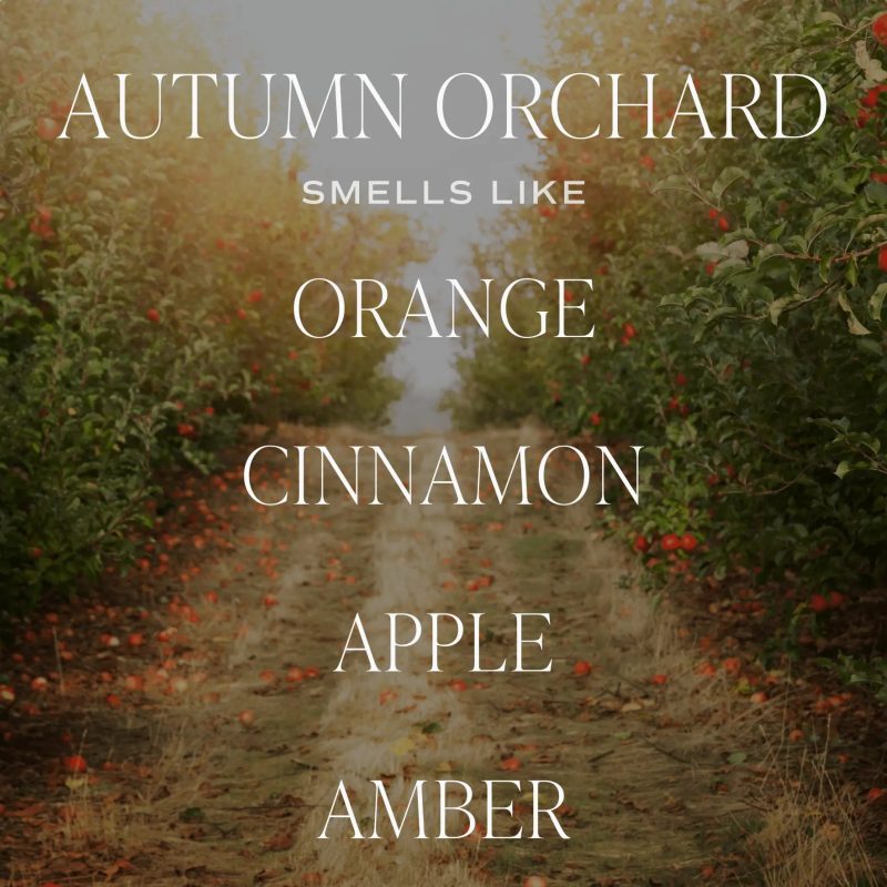 2024 SCENT NOTE AUTUMNORCHARD 533447