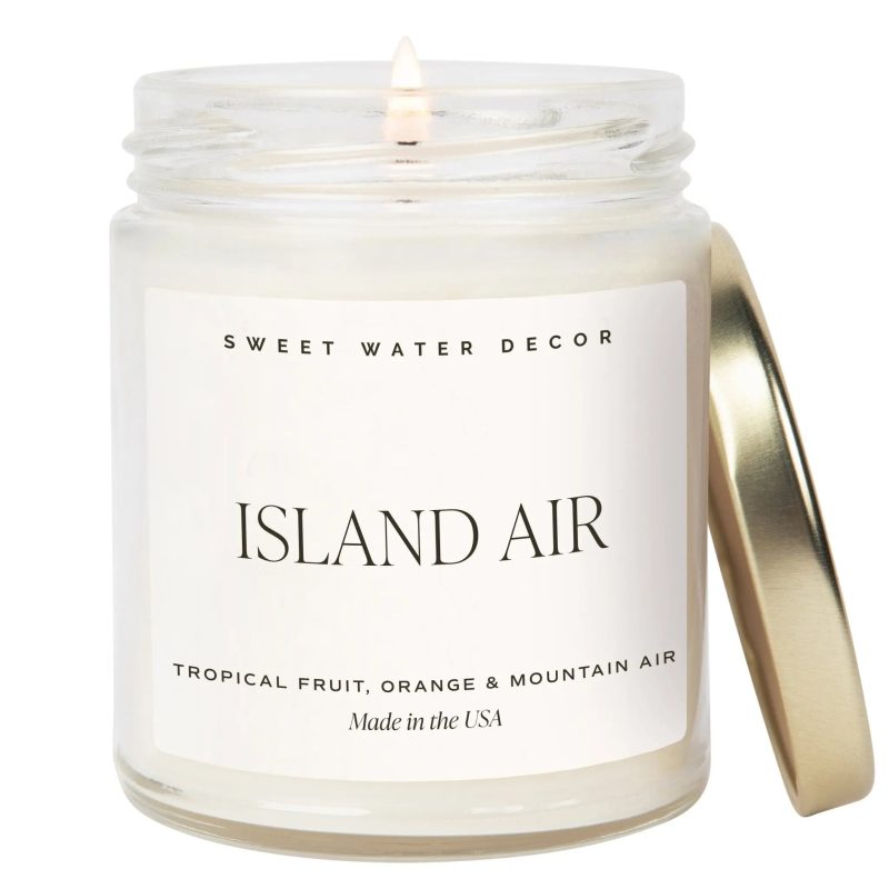 C134 ISLAND AIR 9OZ CANDLE SWD 2024 WB 423758