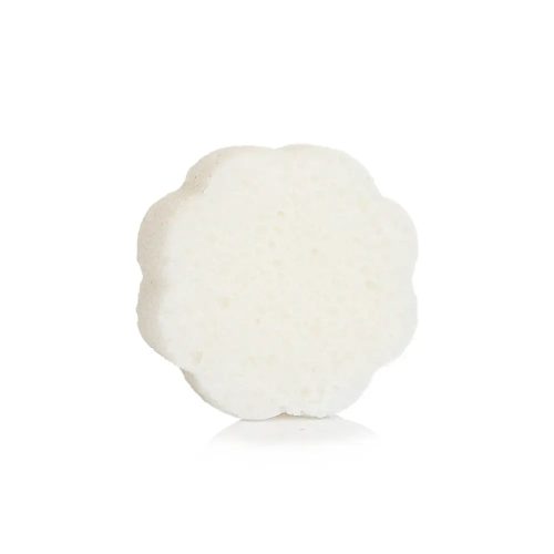 daisyspongettesponge b42bc763 a3cf 4d34 bffb a100ef3bcaa8