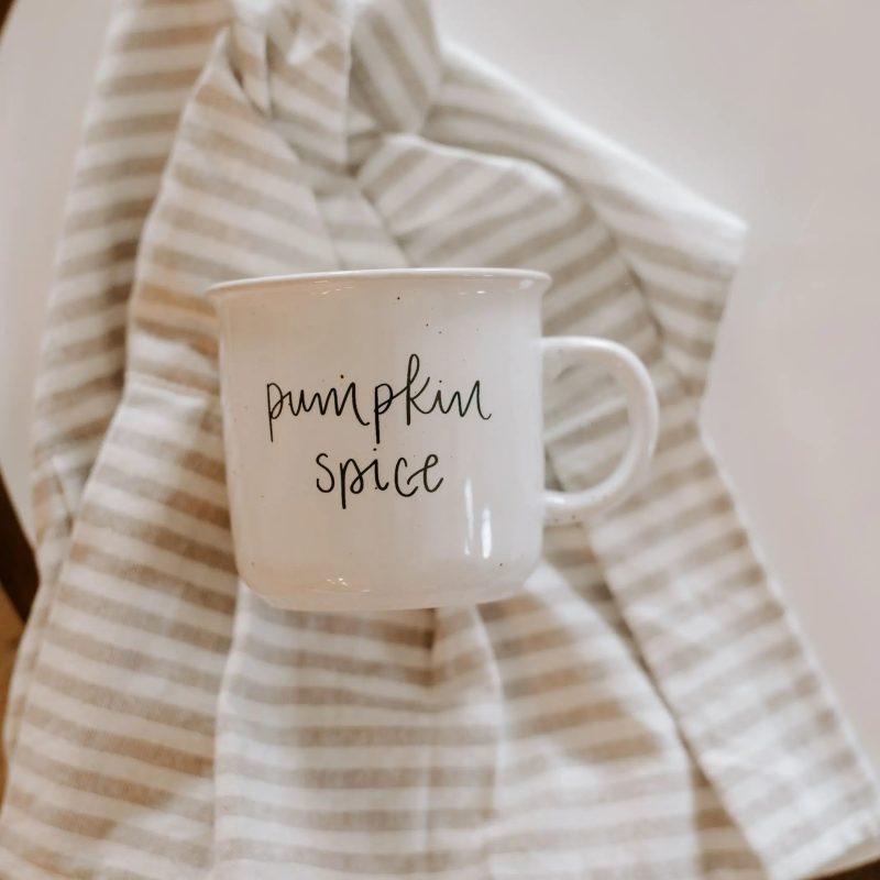 pumpkin spice mug white